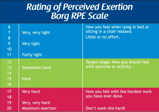 Borg Rating of Perceived Exertion Scale