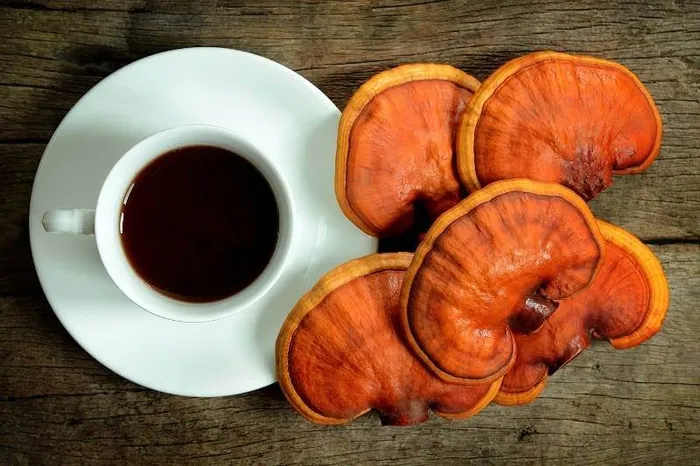 Reishi Mushrooms