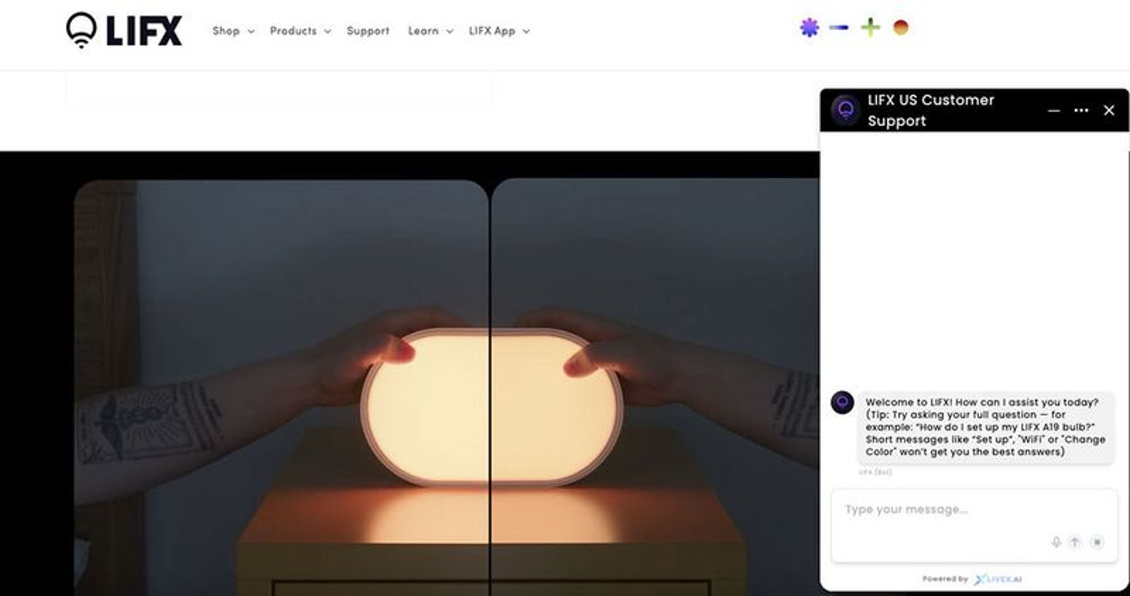 Feit Electric AI support flow