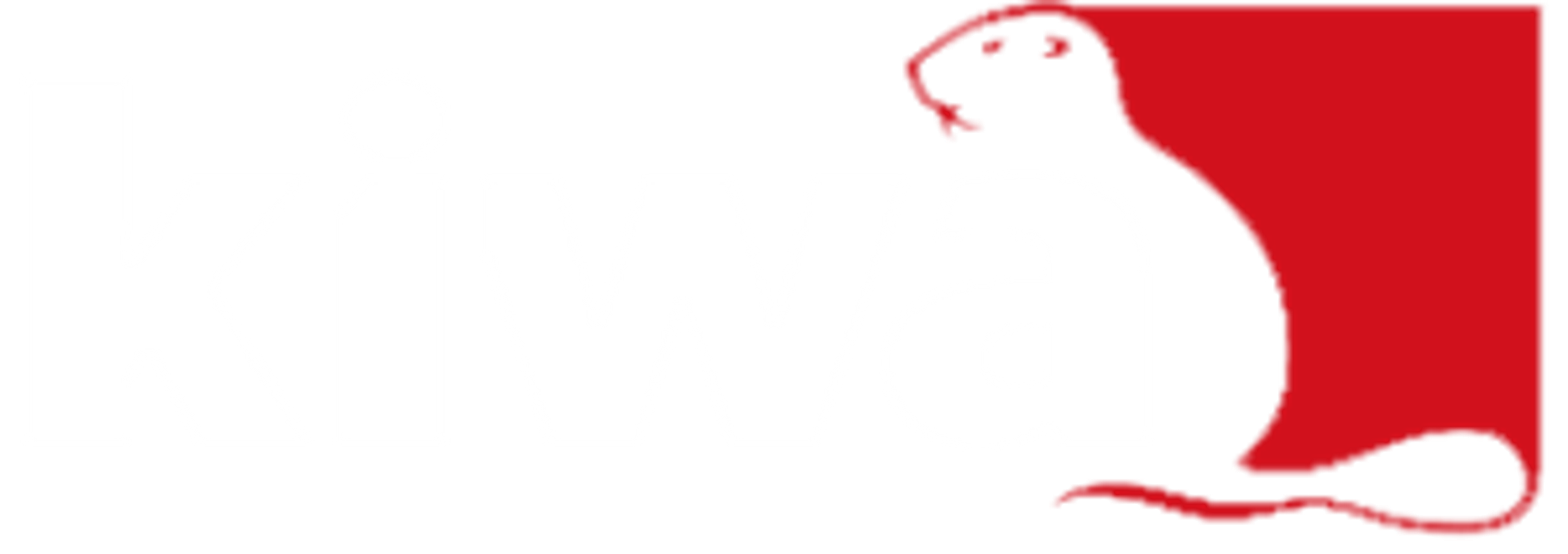 Kiwa ISA Sport