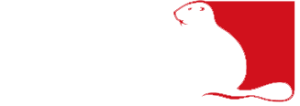 Kiwa ISA Sport