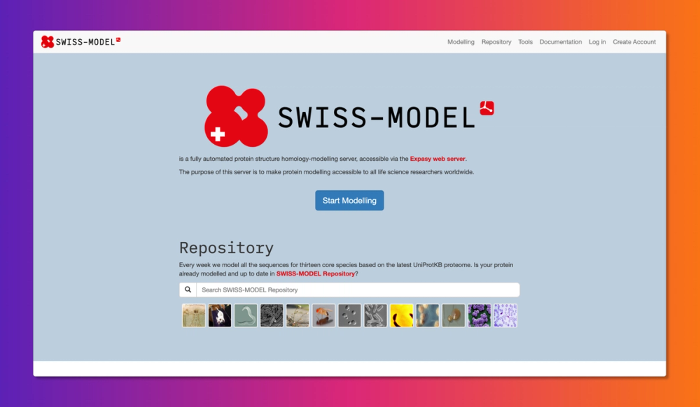 swiss-model