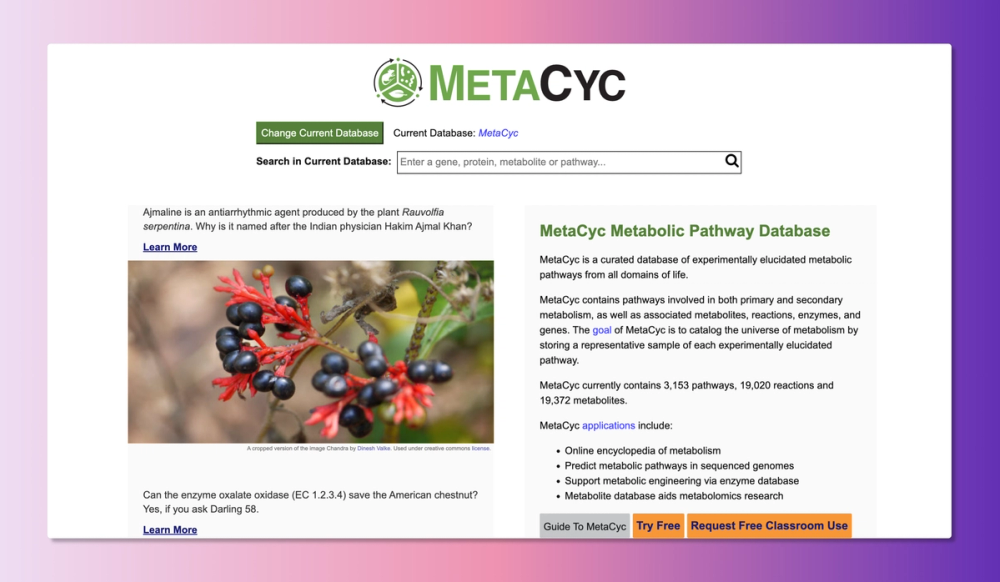 metacyc-org