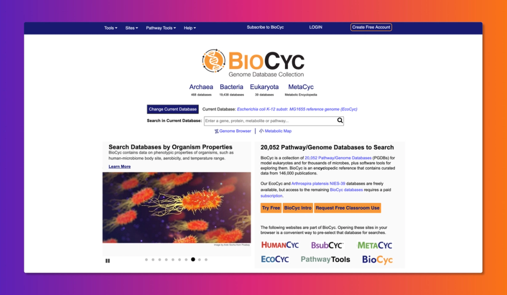 biocyc-org