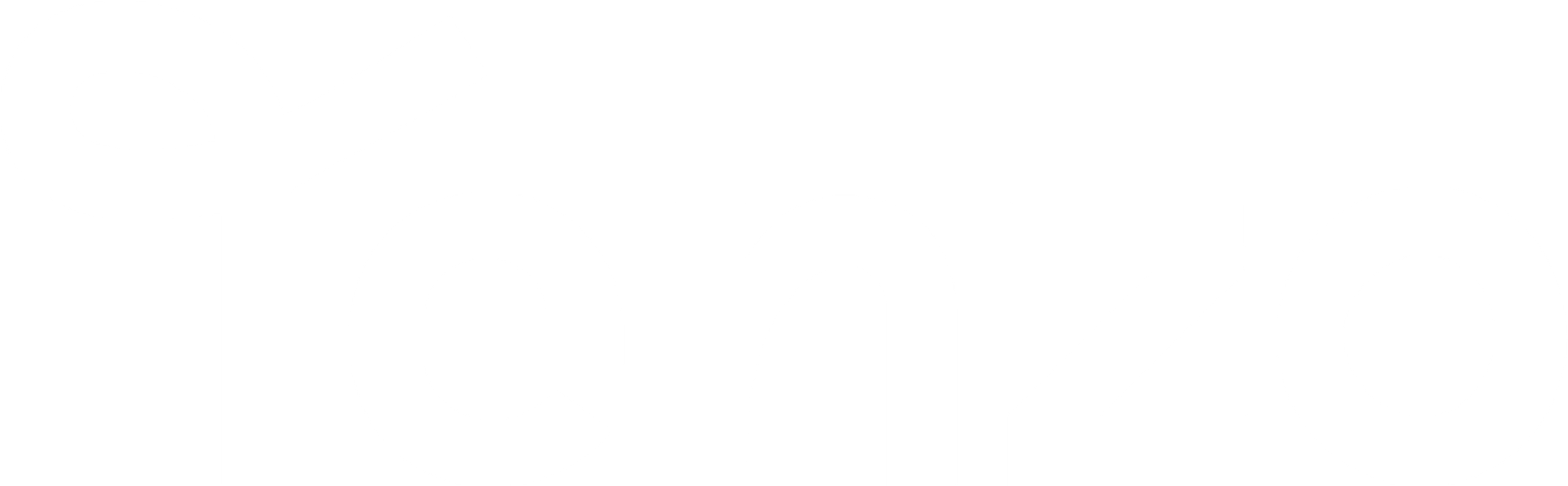 Tenzo Logo