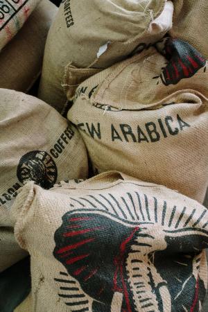 Single-origin coffee​​​​‌﻿‍﻿​‍​‍‌‍﻿﻿‌﻿​‍‌‍‍‌‌‍‌﻿‌‍‍‌‌‍﻿‍​‍​‍​﻿‍‍​‍​‍‌﻿​﻿‌‍​‌‌‍﻿‍‌‍‍‌‌﻿‌​‌﻿‍‌​‍﻿‍‌‍‍‌‌‍﻿﻿​‍​‍​‍﻿​​‍​‍‌‍‍​‌﻿​‍‌‍‌‌‌‍‌‍​‍​‍​﻿‍‍​‍​‍‌‍‍​‌﻿‌​‌﻿‌​‌﻿​​‌﻿​﻿​﻿‍‍​‍﻿﻿​‍﻿﻿‌﻿​﻿‌‍‍‌‌﻿‌​‌‍‌‌‌﻿‌​‌‍​‌‌‍​‍‌‍﻿​‌‍‌‌​‍﻿‌‌﻿​​‌‍﻿​‌‍​‌‌﻿‍‌‌‍‌﻿‌﻿​‍‌‍﻿﻿‌﻿‌‌‌‍﻿‍‌‍‌​​‍﻿‍‌﻿​﻿‌‍​‌‌‍﻿‍‌‍‍‌‌﻿‌​‌﻿‍‌​‍﻿‍‌﻿​﻿‌﻿‌​‌﻿‌‌‌‍‌​‌‍‍‌‌‍﻿﻿​‍﻿﻿‌‍‍‌‌‍﻿‍‌﻿‌​‌‍‌‌‌‍﻿‍‌﻿‌​​‍﻿﻿‌‍‌‌‌‍‌​‌‍‍‌‌﻿‌​​‍﻿﻿‌‍﻿‌‌‍﻿﻿‌‍‌​‌‍‌‌​﻿﻿‌‌﻿​​‌﻿​‍‌‍‌‌‌﻿​﻿‌‍‌‌‌‍﻿‍‌﻿‌​‌‍​‌‌﻿‌​‌‍‍‌‌‍﻿﻿‌‍﻿‍​﻿‍﻿‌‍‍‌‌‍‌​​﻿﻿‌‌‍‍​‌‍﻿﻿‌‍﻿‌‌‍‌‌​﻿‍﻿‌﻿‌​‌﻿‍‌‌﻿​​‌‍‌‌​﻿﻿‌‌‍‌​‌‍‌‌‌‍﻿‌‌‍﻿﻿‌‌​​‌‍​‌‌‍‌﻿‌‍‌‌​﻿‍﻿‌﻿​​‌‍​‌‌﻿‌​‌‍‍​​﻿﻿‌‌‍‍​‌‍‍‌‌‍‌﻿‌‍‍​‌‍﻿​‌‍‍‌‌‍‌﻿‌‍‍​‌﻿‌​‌﻿​﻿​‍‌‌​﻿‌‌‌​​‍‌‌﻿﻿‌‍‍﻿‌‍‌‌‌﻿‍‌​‍‌‌​﻿​﻿‌​‌​​‍‌‌​﻿​﻿‌​‌​​‍‌‌​﻿​‍​﻿​‍‌‍‍​​﻿​‍​‍‌‌​﻿​‍​﻿​‍​‍‌‌​﻿‌‌‌​‌​​‍﻿‍‌﻿‌​‌‍‍‌‌﻿‌​‌‍﻿​‌‍‌‌​‍‌‌​﻿‌‌‌​​‍‌‌﻿﻿‌‍‍﻿‌‍‌‌‌﻿‍‌​‍‌‌​﻿​﻿‌​‌​​‍‌‌​﻿​﻿‌​‌​​‍‌‌​﻿​‍​﻿​‍‌​﻿​‌​‍​‌﻿​​‌‍‍‌‌​‍‌‌‍﻿‍‌﻿‌‌‌﻿‌‌‌‍‍﻿‌​﻿​‌‍‌​‌﻿​​‌‌​​‌﻿‌​‌‌​﻿‌‍​‌‌‌‌‌‌​﻿‍​﻿​﻿‌‍﻿﻿‌‍﻿‍‌​‌‌​‍‌‌​﻿​‍​﻿​‍​‍‌‌​﻿‌‌‌​‌​​‍﻿‍‌﻿‌‍‌‍​‌‌‍﻿​‌﻿‌‌‌‍‌‌​﻿﻿﻿‌‍​‍‌‍​‌‌﻿​﻿‌‍‌‌‌‌‌‌‌﻿​‍‌‍﻿​​﻿﻿‌‌‍‍​‌﻿‌​‌﻿‌​‌﻿​​‌﻿​﻿​‍‌‌​﻿​﻿‌​​‌​‍‌‌​﻿​‍‌​‌‍​‍‌‌​﻿​‍‌​‌‍‌﻿​﻿‌‍‍‌‌﻿‌​‌‍‌‌‌﻿‌​‌‍​‌‌‍​‍‌‍﻿​‌‍‌‌​‍﻿‌‌﻿​​‌‍﻿​‌‍​‌‌﻿‍‌‌‍‌﻿‌﻿​‍‌‍﻿﻿‌﻿‌‌‌‍﻿‍‌‍‌​​‍﻿‍‌﻿​﻿‌‍​‌‌‍﻿‍‌‍‍‌‌﻿‌​‌﻿‍‌​‍﻿‍‌﻿​﻿‌﻿‌​‌﻿‌‌‌‍‌​‌‍‍‌‌‍﻿﻿​‍‌‍‌‍‍‌‌‍‌​​﻿﻿‌‌‍‍​‌‍﻿﻿‌‍﻿‌‌‍‌‌​‍‌‍‌﻿‌​‌﻿‍‌‌﻿​​‌‍‌‌​﻿﻿‌‌‍‌​‌‍‌‌‌‍﻿‌‌‍﻿﻿‌‌​​‌‍​‌‌‍‌﻿‌‍‌‌​‍‌‍‌﻿​​‌‍​‌‌﻿‌​‌‍‍​​﻿﻿‌‌‍‍​‌‍‍‌‌‍‌﻿‌‍‍​‌‍﻿​‌‍‍‌‌‍‌﻿‌‍‍​‌﻿‌​‌﻿​﻿​‍‌‌​﻿‌‌‌​​‍‌‌﻿﻿‌‍‍﻿‌‍‌‌‌﻿‍‌​‍‌‌​﻿​﻿‌​‌​​‍‌‌​﻿​﻿‌​‌​​‍‌‌​﻿​‍​﻿​‍‌‍‍​​﻿​‍​‍‌‌​﻿​‍​﻿​‍​‍‌‌​﻿‌‌‌​‌​​‍﻿‍‌﻿‌​‌‍‍‌‌﻿‌​‌‍﻿​‌‍‌‌​‍‌‌​﻿‌‌‌​​‍‌‌﻿﻿‌‍‍﻿‌‍‌‌‌﻿‍‌​‍‌‌​﻿​﻿‌​‌​​‍‌‌​﻿​﻿‌​‌​​‍‌‌​﻿​‍​﻿​‍‌​﻿​‌​‍​‌﻿​​‌‍‍‌‌​‍‌‌‍﻿‍‌﻿‌‌‌﻿‌‌‌‍‍﻿‌​﻿​‌‍‌​‌﻿​​‌‌​​‌﻿‌​‌‌​﻿‌‍​‌‌‌‌‌‌​﻿‍​﻿​﻿‌‍﻿﻿‌‍﻿‍‌​‌‌​‍‌‌​﻿​‍​﻿​‍​‍‌‌​﻿‌‌‌​‌​​‍﻿‍‌﻿‌‍‌‍​‌‌‍﻿​‌﻿‌‌‌‍‌‌​‍‌‍‌﻿​​‌‍‌‌‌﻿​‍‌﻿​﻿‌﻿​​‌‍‌‌‌‍​﻿‌﻿‌​‌‍‍‌‌﻿‌‍‌‍‌‌​﻿﻿‌‌﻿​​‌﻿‌‌‌‍​‍‌‍﻿​‌‍‍‌‌﻿​﻿‌‍‍​‌‍‌‌‌‍‌​​‍​‍‌﻿﻿‌