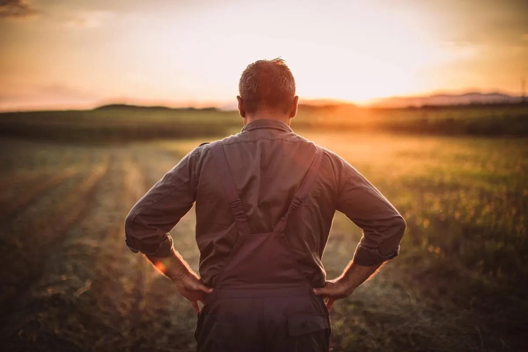 The Landowner