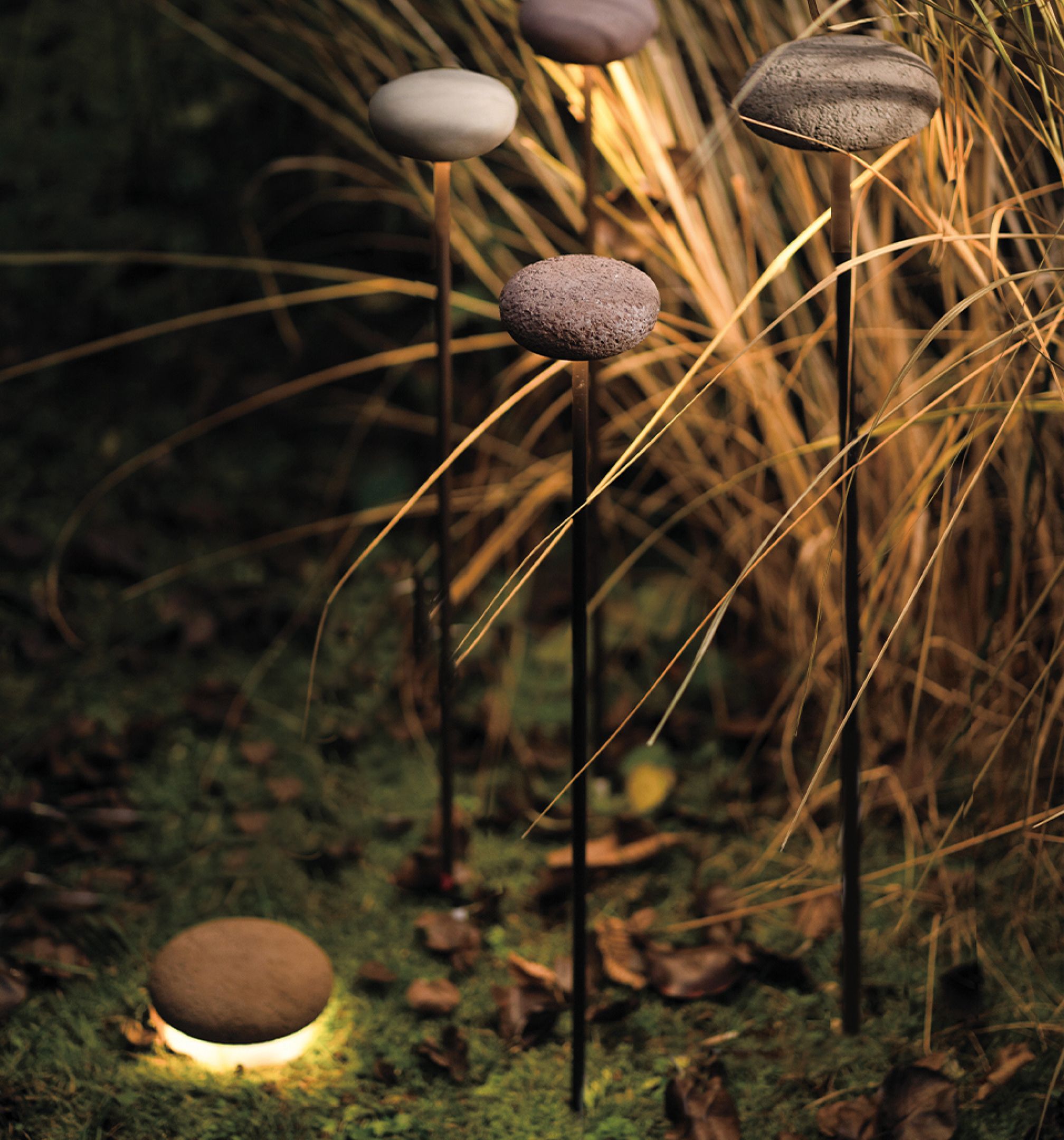 Darklight Design Oolite