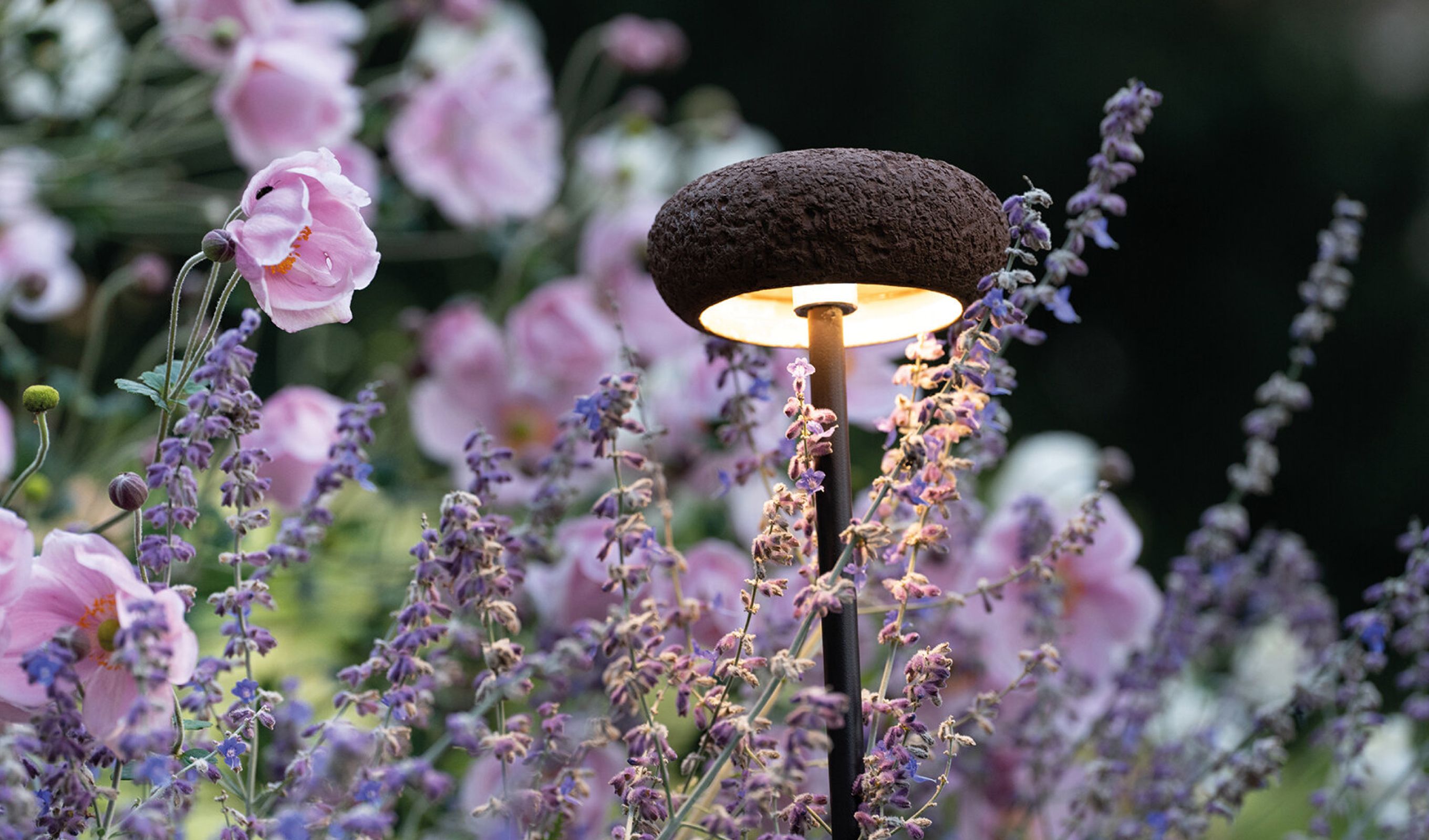 Darklight Design Oolite