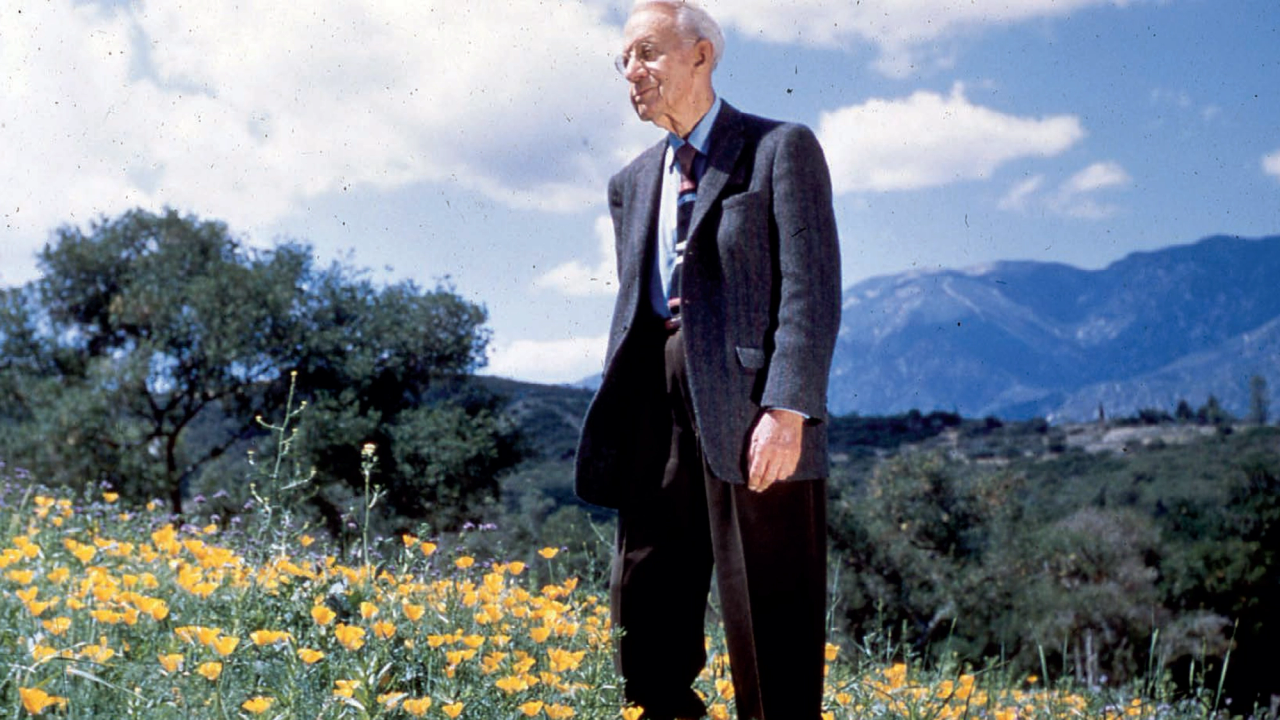man in field