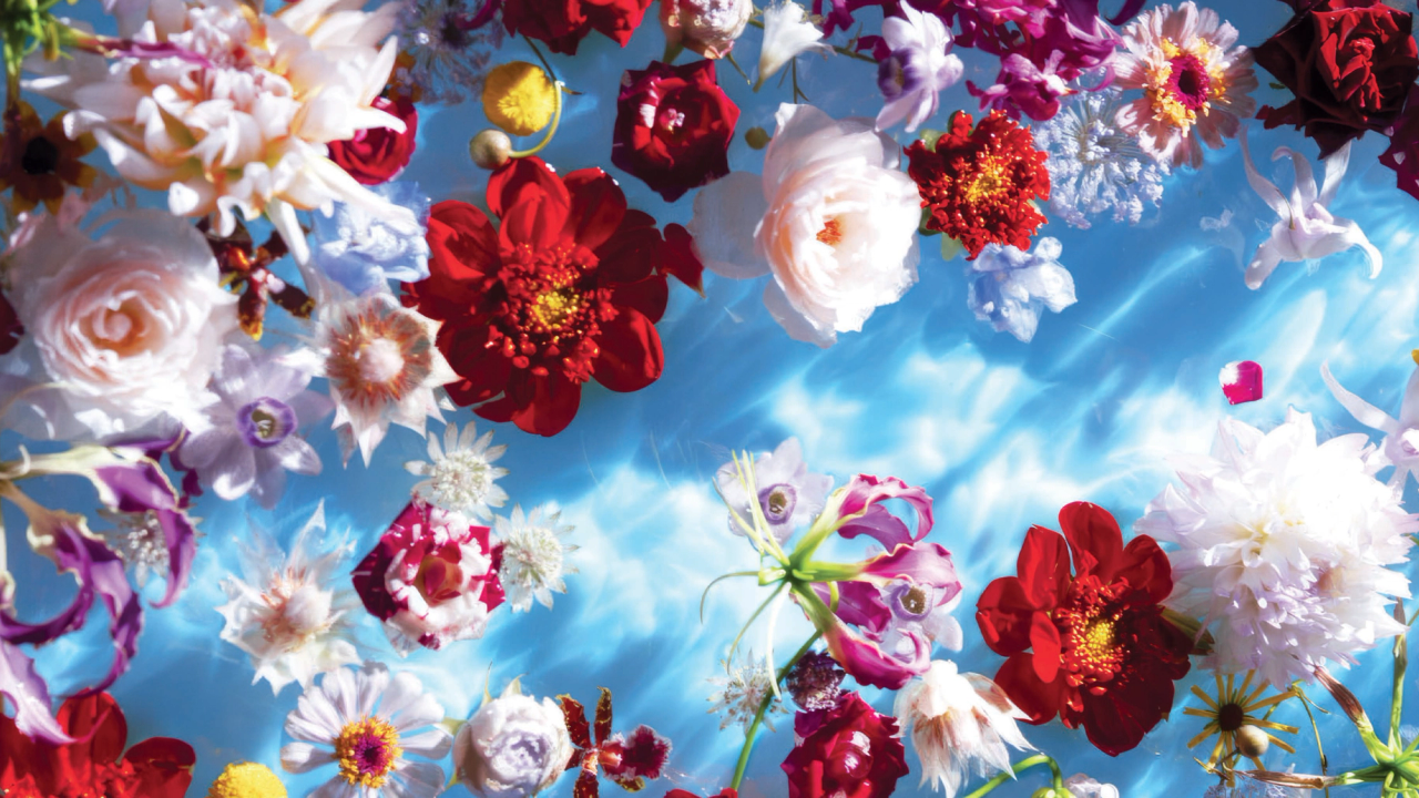 Photo Series: Mika Ninagawa