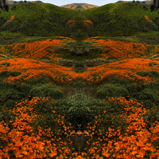 zine cover