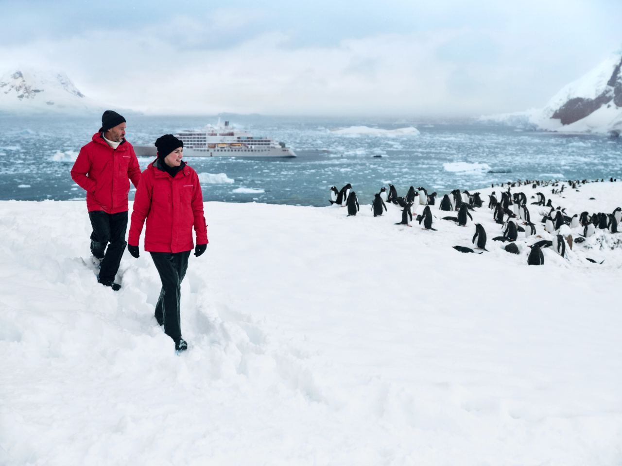 Penguns