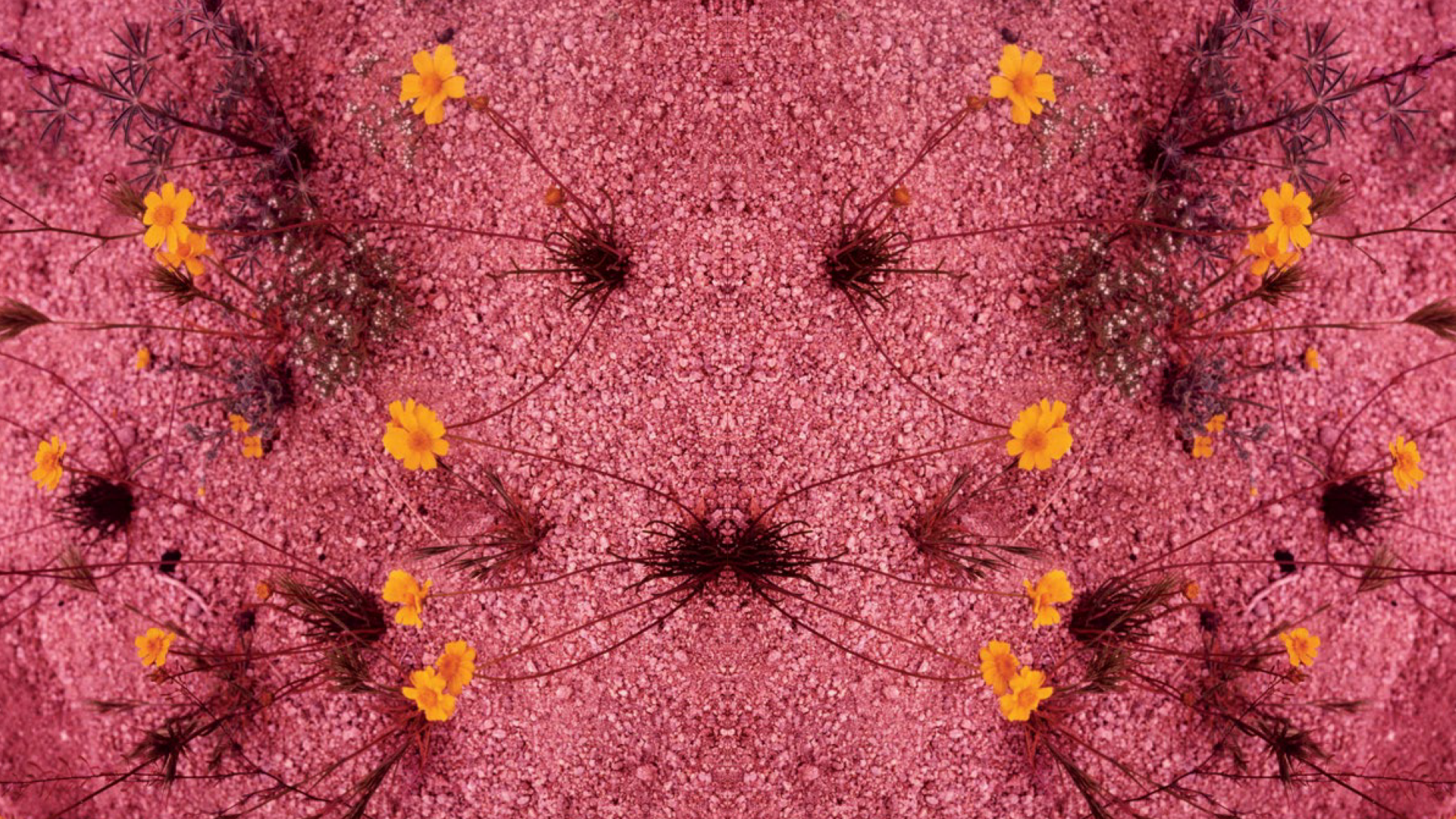 1-800-Flowers