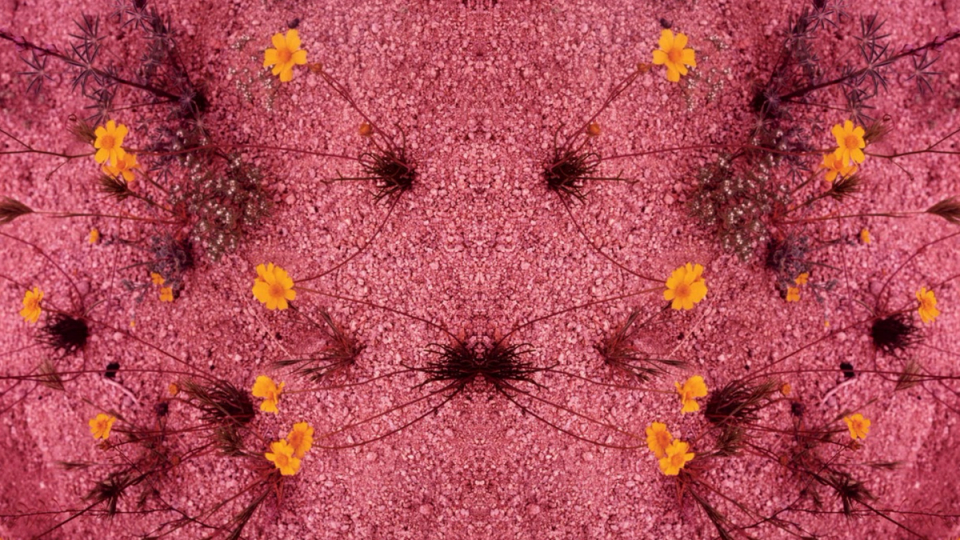 1-800-Flowers