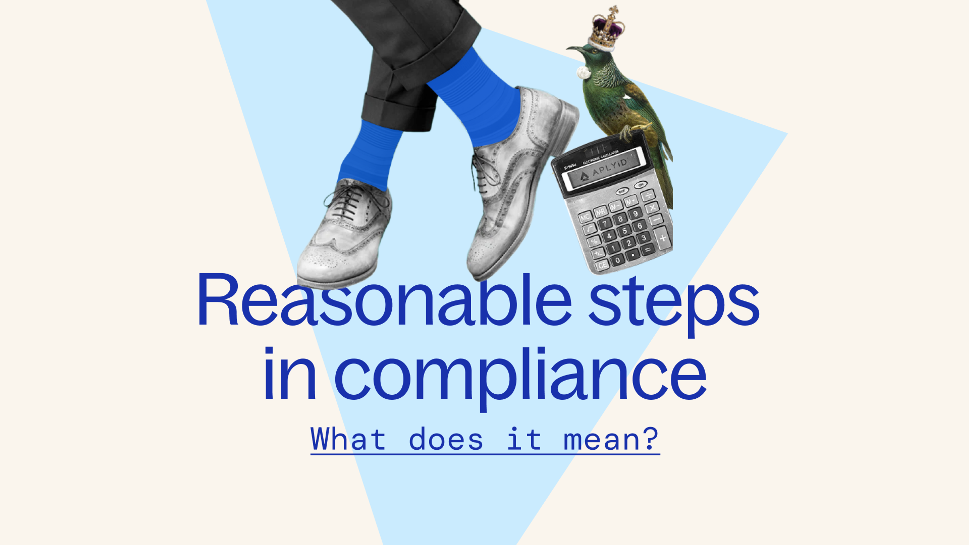 Reasonable steps in compliance - what dpoes it mean? Shoe, bird, calculator 