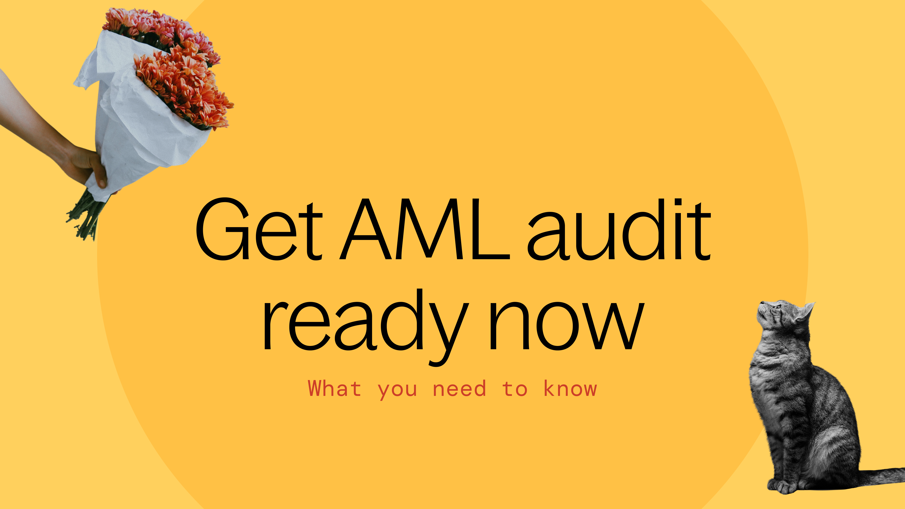 Get AML audit ready 