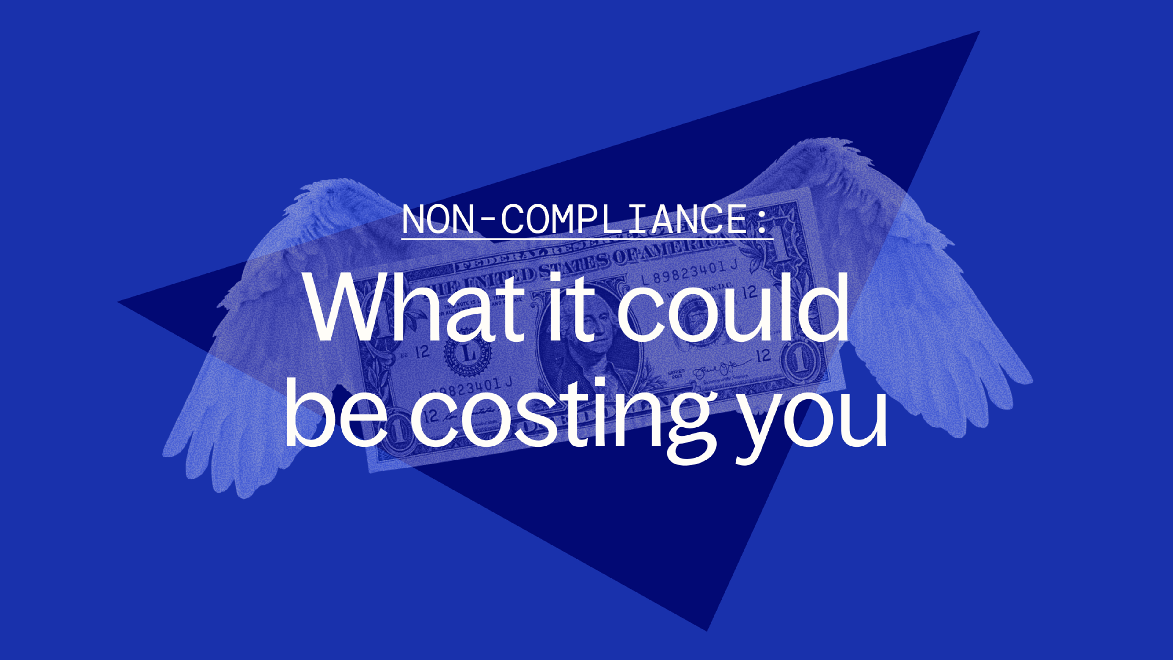 Non-Compliance: What is could be costing you - blue banner 