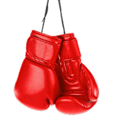 Boxing gloves