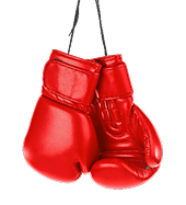 Boxing gloves