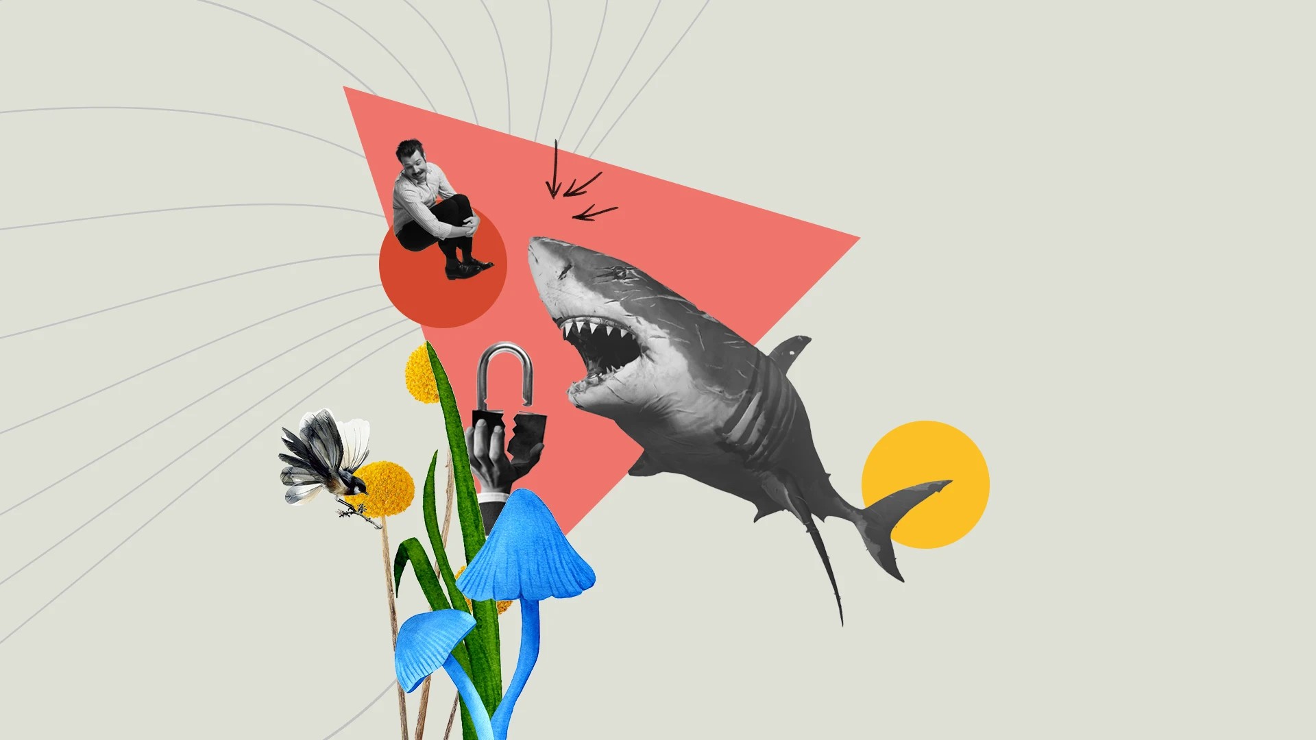Graphic with mixed images. A shark with it's jaw open, a man canon-balling, green florals, a broken lock.
