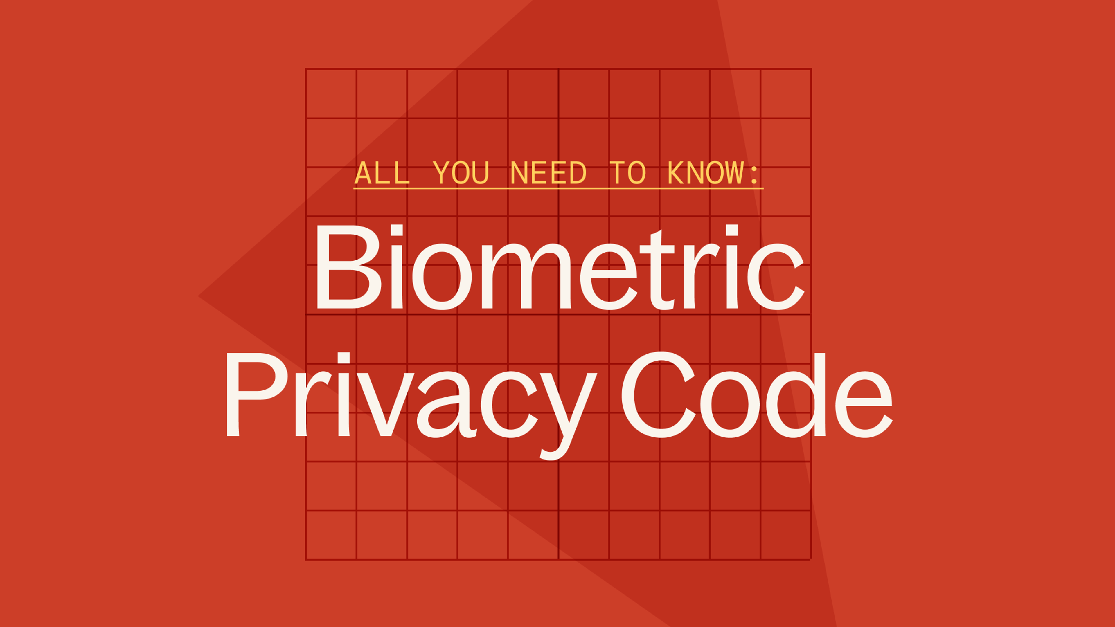 All you need to know: Biometric Privacy Code - red block 