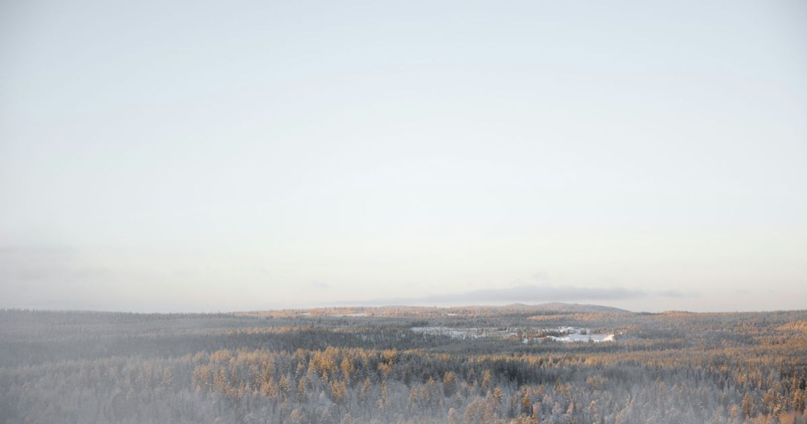 Det finska språket