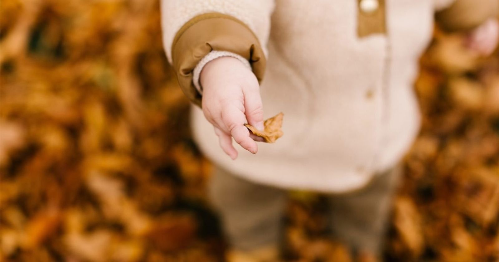 8 roliga aktiviteter att göra på höstlovet