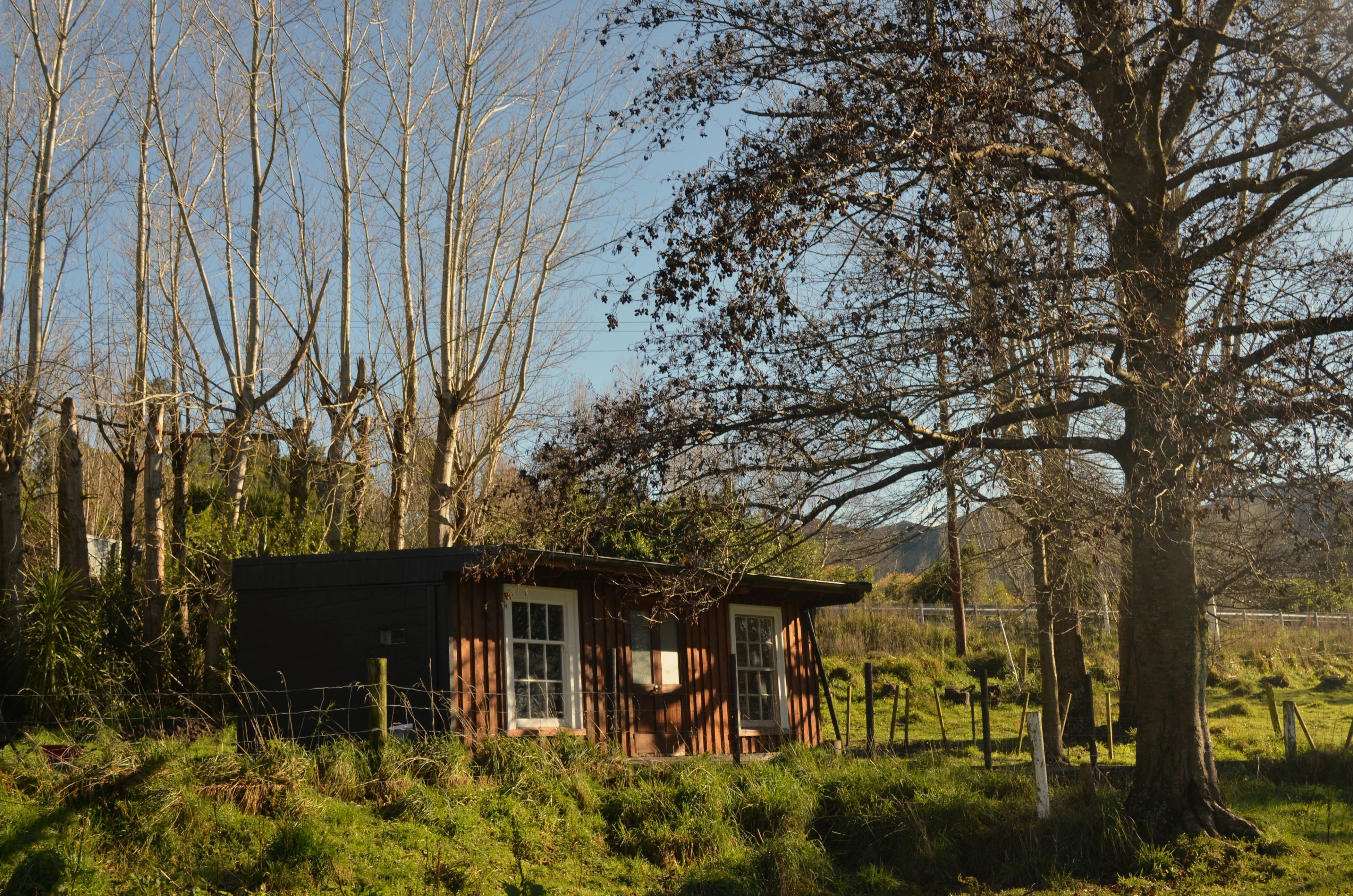 A rural studio nestled amongst a canopy of trees