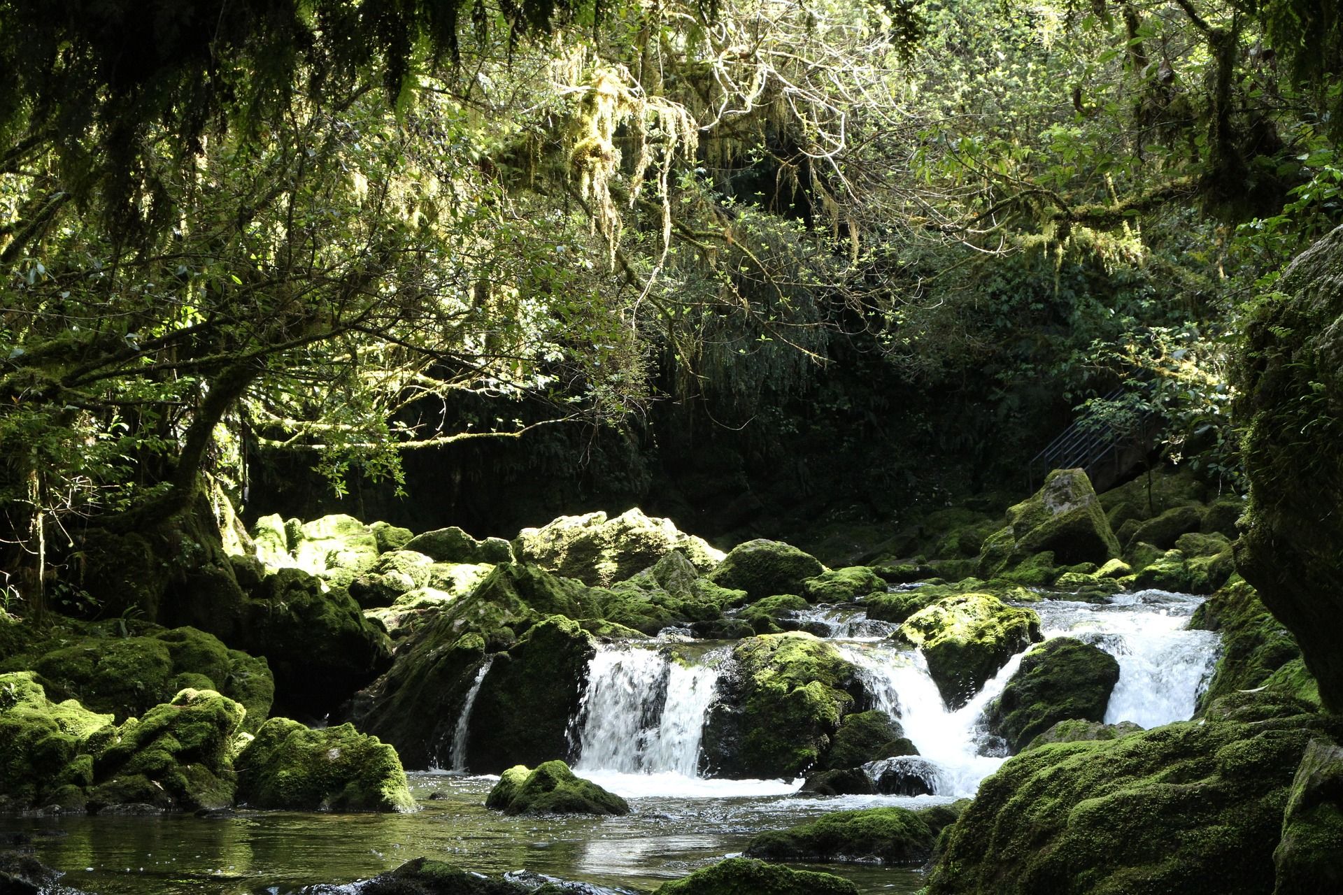 New Zealand stream