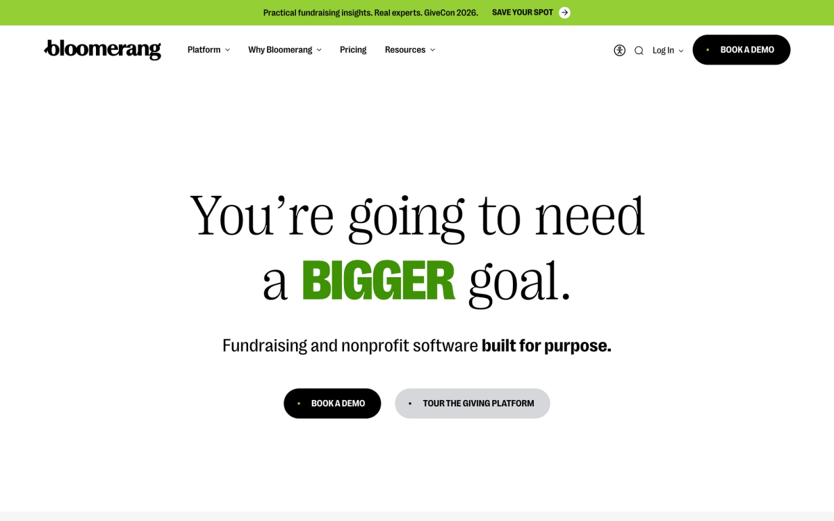 Bloomerang homepage hero section
