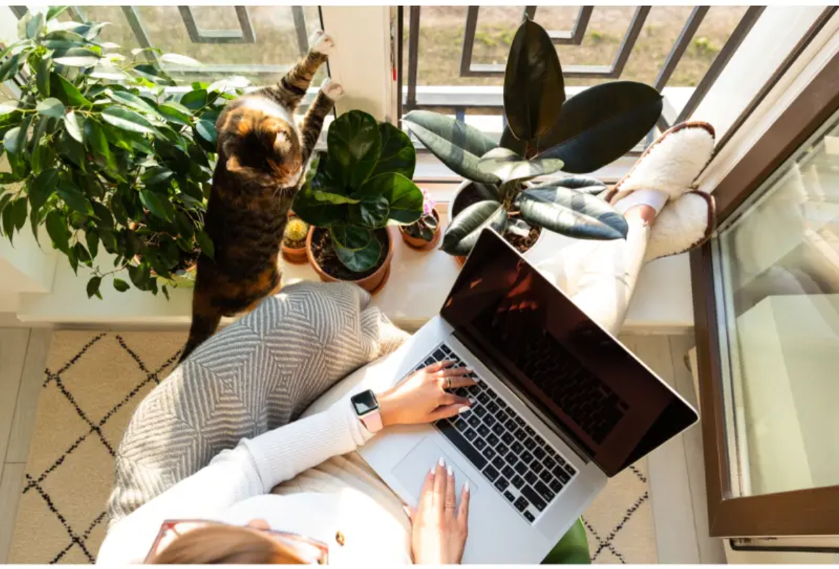 Employee Training Statistics