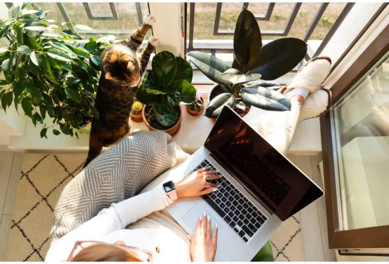 Employee Training Statistics