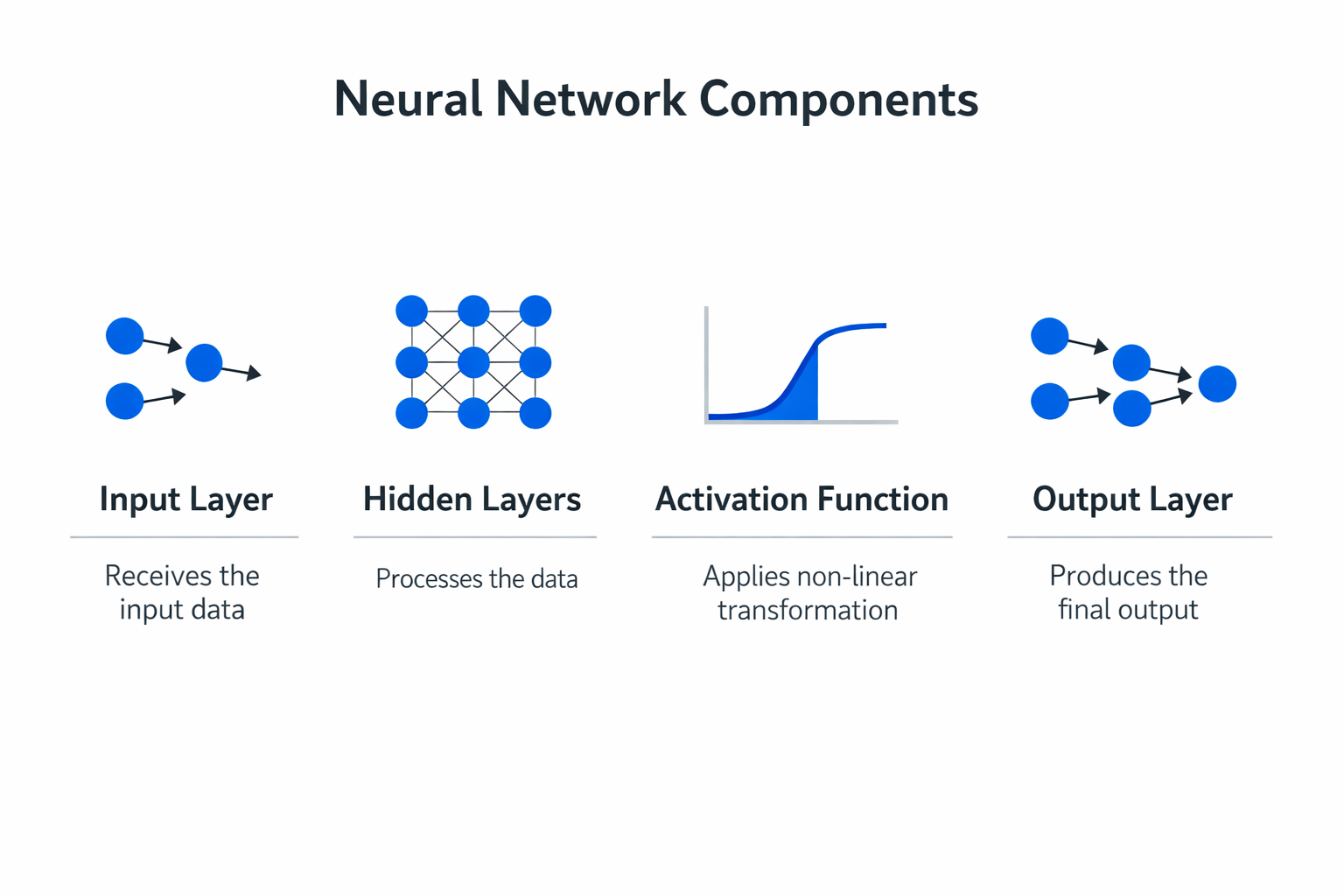 Infographic showing the key components and process of neural network