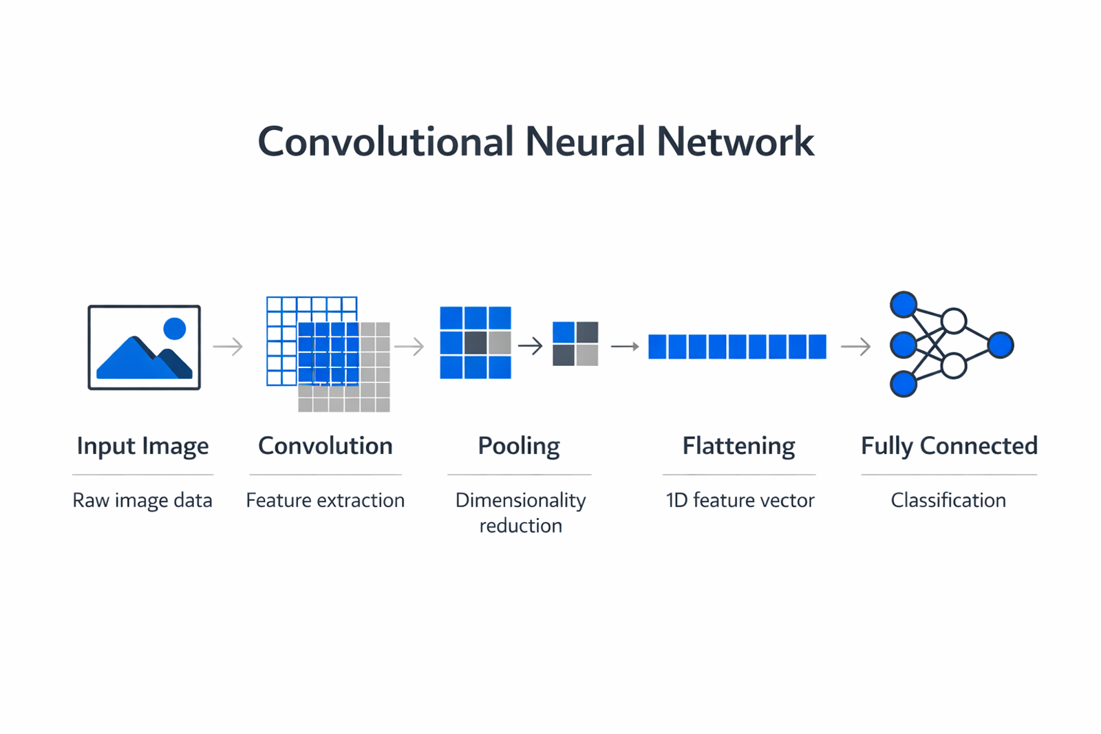 Infographic showing the key components and process of convolutional neural network