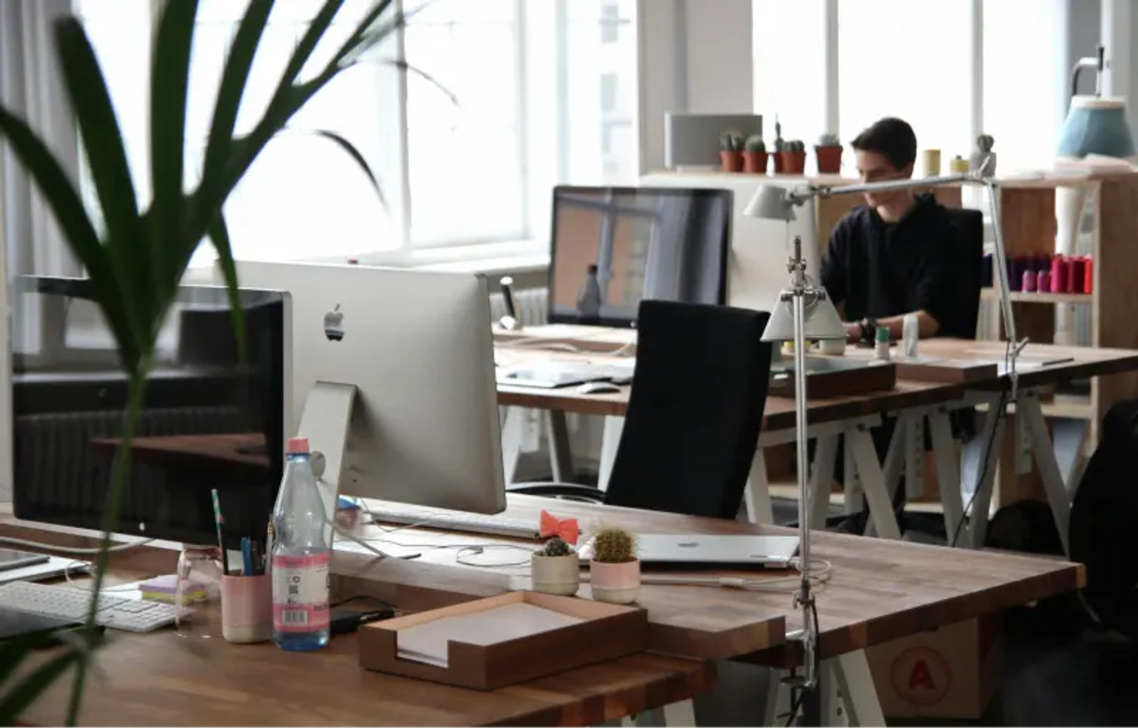 Employee Training Statistics