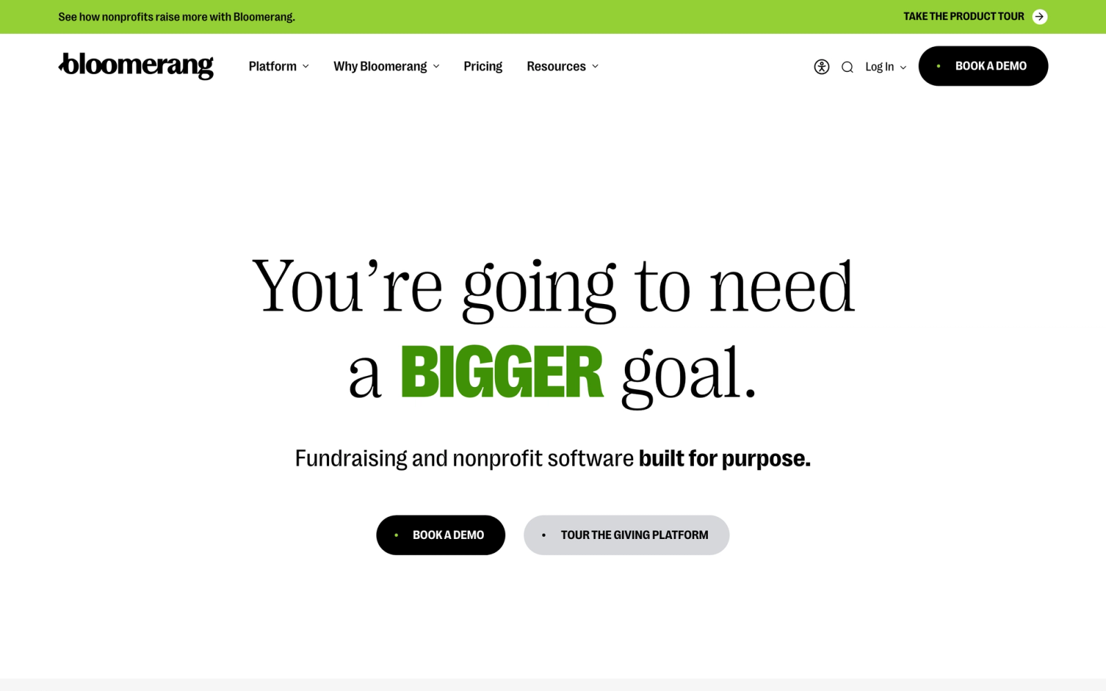Bloomerang homepage hero section