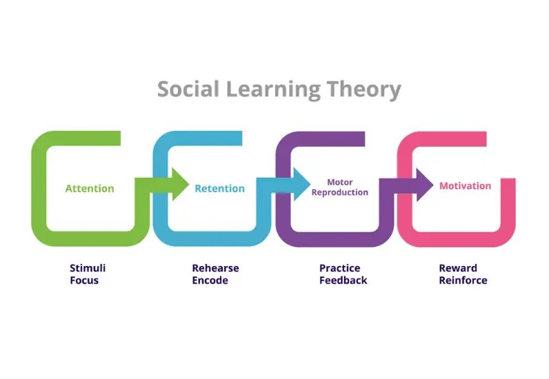 social learning