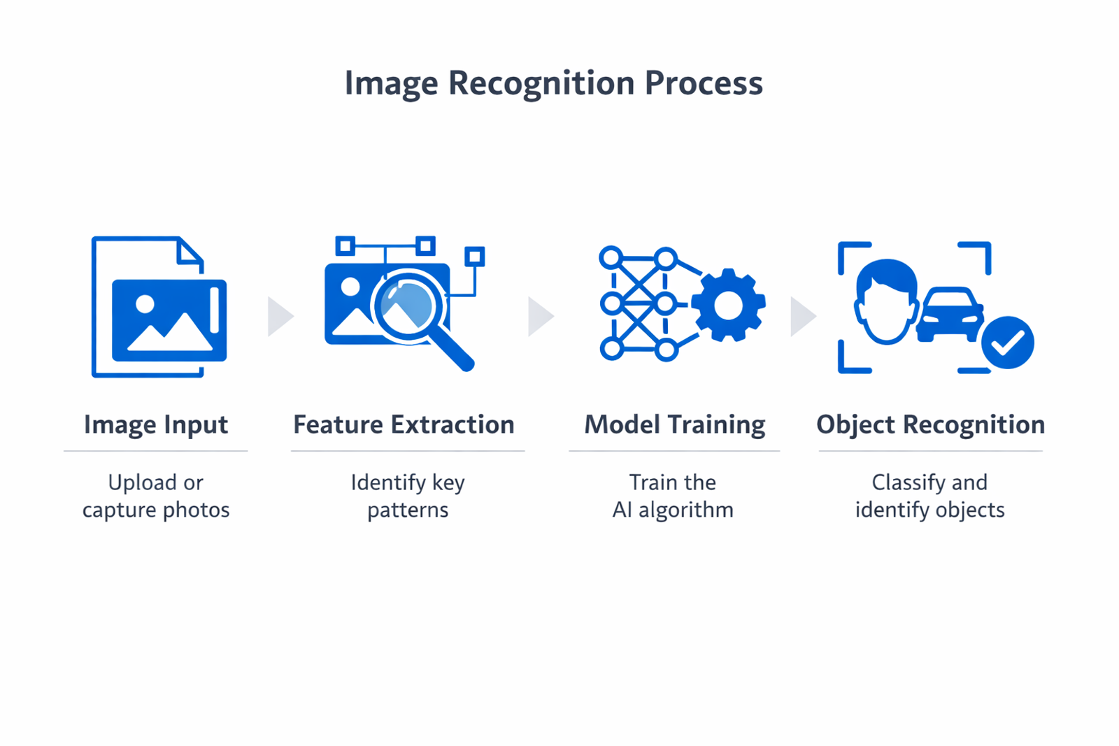 Infographic showing the key components and process of image recognition