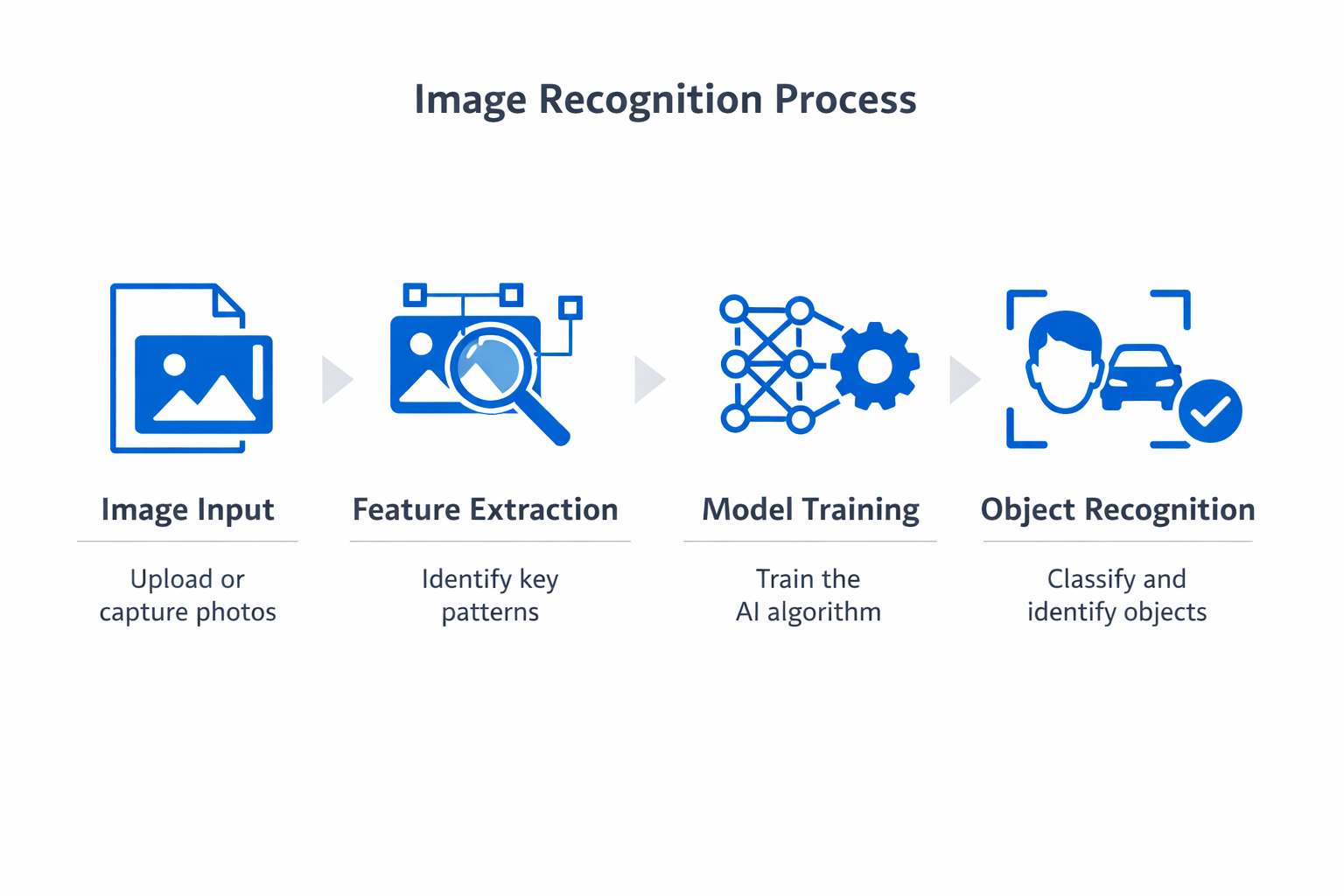 Infographic showing the key components and process of image recognition
