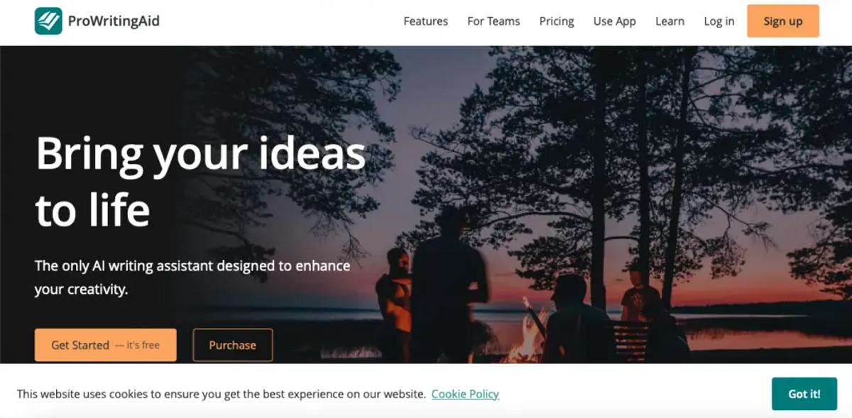 ProWritingAid is the best online plagiarism checker for people who like annual subscriptions.