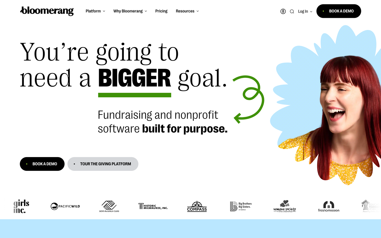 Bloomerang homepage hero section