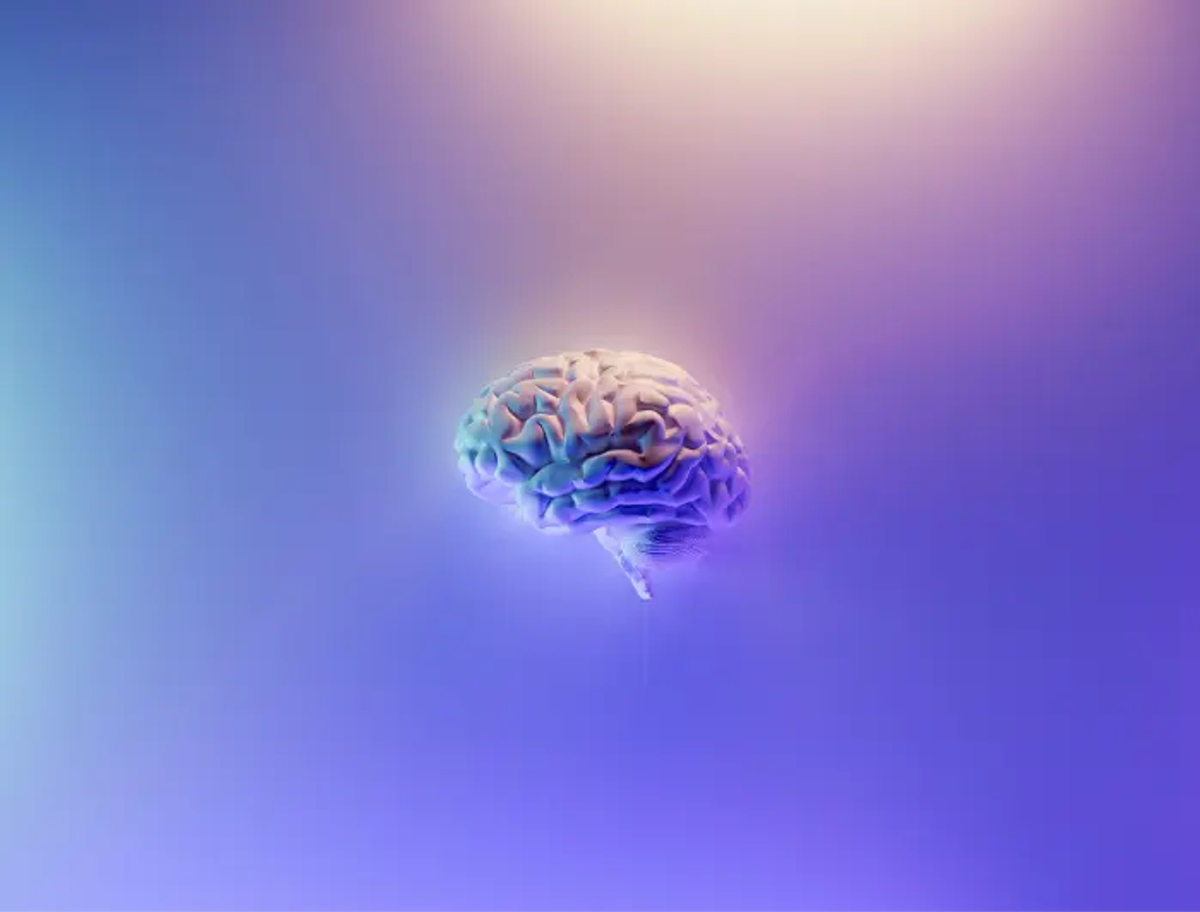 Brain-Based Learning