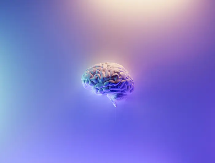 Brain-Based Learning