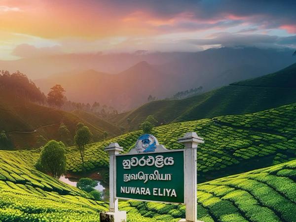 Nuwara Eliya