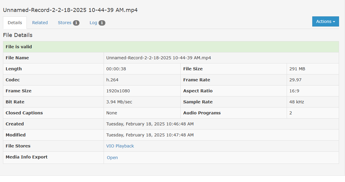 The File Details pane on the right side of the Assets page, showing a selected asset's name at the top and four tabs below: Details, Related, Stores, and Log