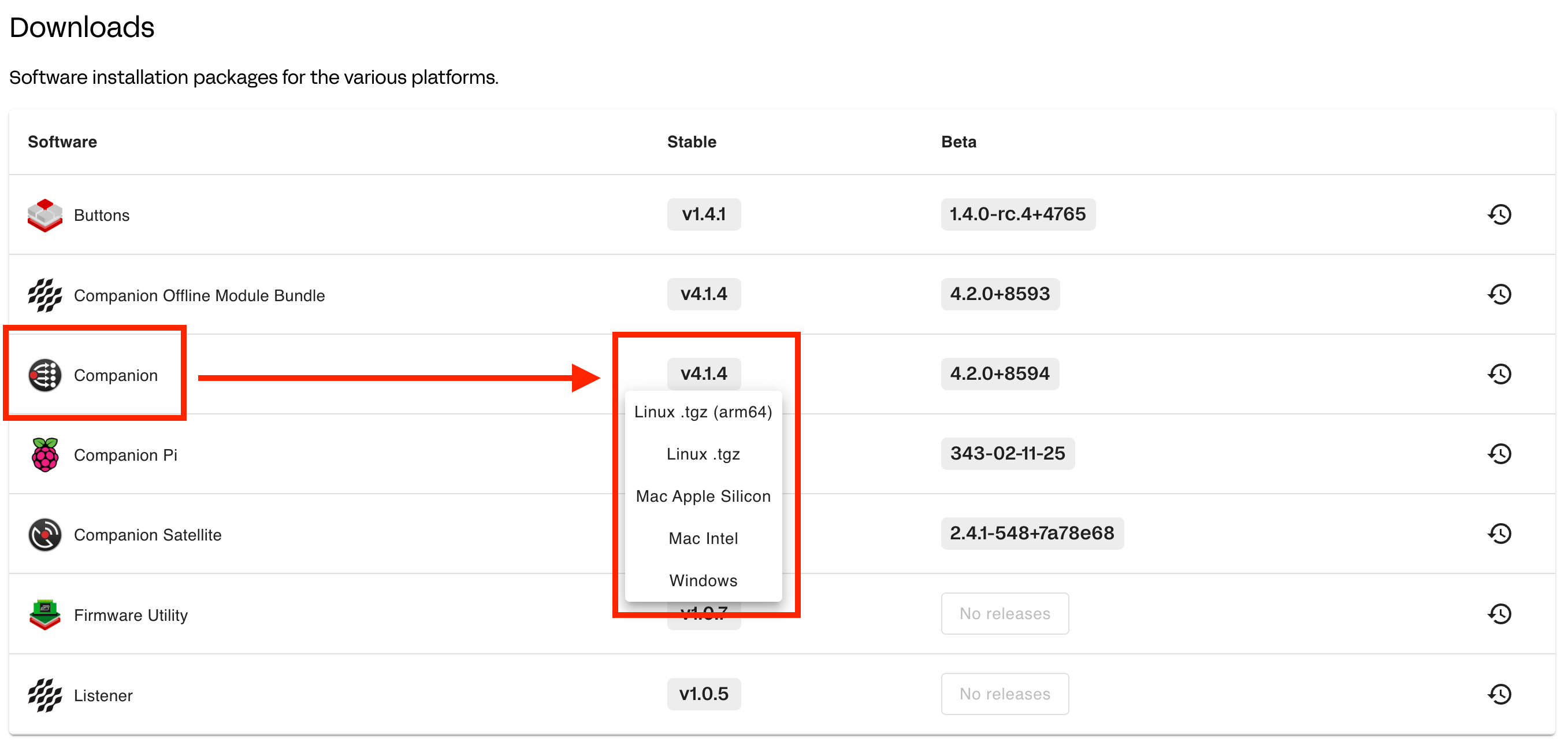 BitFocus Companion Download Options