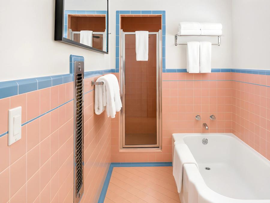 Paramount soaking tub and shower