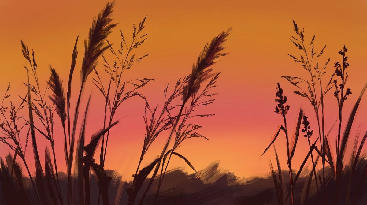 Tall grasses and seed heads silhouetted against an ember and rose dusk sky
