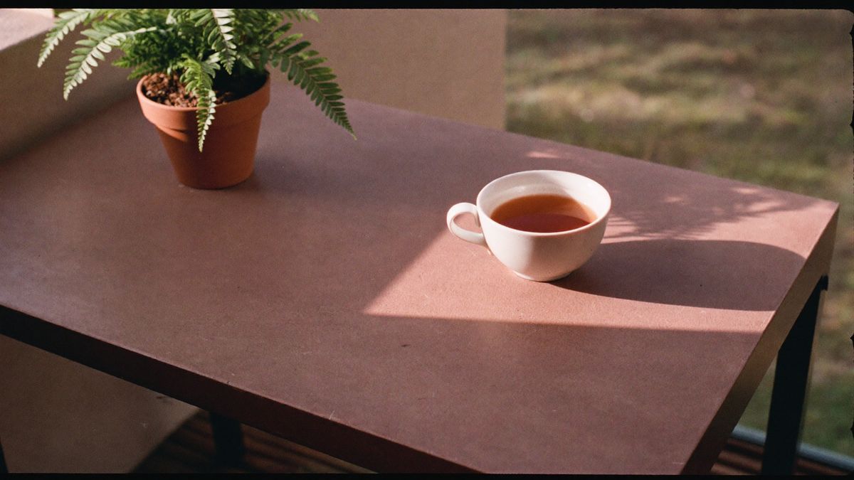 A white cup of tea and a potted fern on a rust-coloured table, low afternoon sun casting long shadows